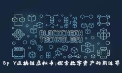 Bp Y区块链虚拟币：探索数字资产的新边界