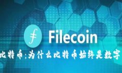 区块链与比特币：为什么比特币始终是数字货币