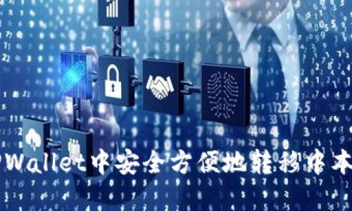 如何在TPWallet中安全方便地转移中本聪测试币