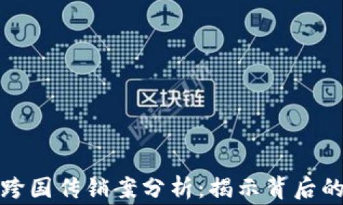 
最新区块链跨国传销案分析：揭示背后的真相与警示