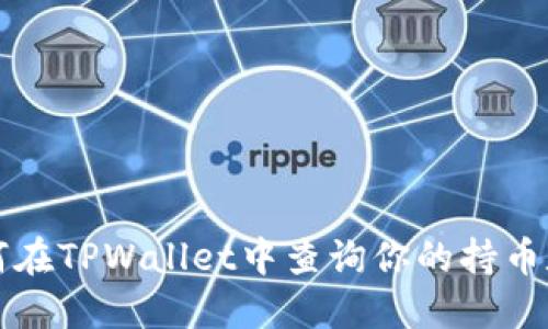 如何在TPWallet中查询你的持币数量