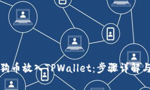 如何将狗狗币放入TPWallet：步骤详解与注意事项