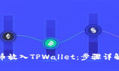 如何将狗狗币放入TPWallet：步骤详解与注意事项