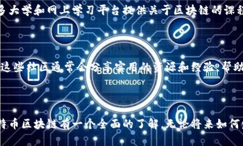   深入了解比特币区块链：基础知识及应用成果 / 
 guanjianci 比特币, 区块链, 加密货币, 数字资产 /guanjianci 

什么是比特币区块链？
比特币区块链是比特币这一加密货币背后的核心技术。它是一种分布式数据库，记录着所有比特币交易的历史。区块链的结构像一个链条，由一个个“区块”组成，每个区块包含了一定数量的交易信息。当一个区块被填满后，它会被添加到之前的区块上，形成一条不可篡改的链。这个过程让交易变得透明，同时也保证了安全性。

区块链的工作原理
区块链的运作依赖于一种叫做“共识机制”的算法。比特币采用的是“工作量证明”（Proof of Work）机制。在这个机制下，矿工通过解决复杂的数学问题来验证交易。这一过程需要大量的计算能力和电力。
每个矿工在竞争中解决出问题后，会将其结果广播到网络中。其他矿工会检查这个结果的正确性。只有当超过一半的矿工确认这个区块的正确性后，这个区块才会被加入到区块链中。这种分散的验证系统使得比特币的交易几乎不可能被篡改或伪造。

比特币的历史和发展
比特币于2009年由一个名叫中本聪（Satoshi Nakamoto）的匿名人士或团队首次发布。它标志着加密货币和区块链技术的诞生。比特币的诞生是为了应对传统金融体系中存在的一些问题，比如低效率和信任缺失。
随着时间的推移，比特币逐渐获得了越来越多的关注。到2017年，比特币的价格经历了一次巨大的飞跃，吸引了全球各地的投资者和媒体的关注。比特币的成功推动了数以千计的新加密货币和区块链项目的出现。

比特币的优势与挑战
h4优势/h4
比特币的最大优点之一就是去中心化。这意味着没有任何政府或金融机构能够控制比特币网络。这种特点让人们能够自由地进行交易，而无需依赖任何中介。
此外，比特币交易的确认速度相对较快，通常在10分钟内就可以完成。这对于国际交易尤为重要。传统银行转账可能需要几天时间，而比特币则可以在几分钟之内完成。

h4挑战/h4
尽管比特币有很多优势，但它也面临一些挑战。首先，比特币的价格波动性极大。这使得它不太适合作为日常交易的货币。价格的急剧波动让很多人对使用比特币进行交易感到犹豫。
另外，由于比特币是匿名的，这吸引了一些非法活动的参与者，例如洗钱和贩毒。虽然区块链上的交易是透明的，但参与者的匿名性使得追踪和监管变得困难。

比特币的应用案例
随着比特币和区块链技术的普及，越来越多的行业开始探索其应用。在金融领域，许多公司开始接受比特币作为付款方式。这些公司包括在线零售商、旅行社和餐厅等。
在物流行业，区块链技术被用于追踪商品的流转。例如，一些大型快递公司正在利用区块链来确保货物在运输过程中的透明度和追踪性。这不仅提高了效率，还减少了欺诈风险。

未来的展望
比特币的未来仍然充满不确定性。尽管面临诸多挑战，但很多专家认为区块链技术的潜力是巨大的。许多国家正在探索如何在其经济中整合区块链和加密货币技术。
随着更多公司和人们意识到比特币及其背后的区块链技术所能带来的便利，未来可能会有更多人接受它。无论是作为数字资产还是货币，比特币都在不断塑造我们的未来金融生态。

结论
比特币区块链无疑是现代金融科技的一个重要里程碑。它的去中心化特性、透明性和安全性使其在众多领域都展现出了巨大的潜力。尽管面临各种挑战，但比特币和区块链的未来仍然值得期待。随着技术的不断发展，我们有理由相信比特币会在未来的经济中扮演更加重要的角色。

如何安全地使用比特币
对于刚接触比特币的人来说，了解如何安全地使用比特币是至关重要的。首先，选择一个安全的钱包。钱包有多种类型，包括软件钱包、硬件钱包和纸钱包。硬件钱包被认为是最安全的选项，因为它们在冷环境中存储私钥。
其次，务必开启两步验证。这可以为你的账户增加一层额外的安全性，防止未授权访问。此外，定期更新你的软件和应用也是保护账户安全的重要措施。

学习更多关于比特币的资源
想要深入了解比特币和区块链技术，可以参考一些书籍、在线课程和博客。一些知名的书籍包括《数字黄金》和《区块链基本原理》。同时，许多大学和网上学习平台提供关于区块链的课程，让你可以系统地学习这门新兴技术。
总之，比特币和区块链技术的知识是不断发展的。保持学习和更新自己的知识，是在这个快速变化的领域立足的重要方式。

参与比特币社区
加入比特币和区块链的社区可以是一个很好的方式，来学习和分享经验。参与论坛、社交媒体小组和会议，可以帮助你结识志同道合的朋友。这些社区通常会分享实用的资源和经验，帮助你更好地理解比特币的世界。
无论你是想投资、交易还是仅仅出于好奇，加入这些社区都能为你提供丰富的学习机会和支持。

总结与回顾
比特币区块链是一个复杂而又充满挑战的领域。从基本知识到实际应用，每个环节都值得深入探讨。希望通过这篇文章，能够帮助读者对比特币区块链有一个全面的了解。无论将来如何发展，探索比特币及其技术，都能让我们更好地适应这不断变化的数字时代。