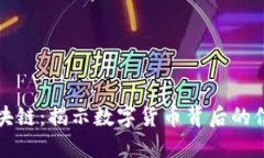 比特币区块链：揭示数字货币背后的信息与价值