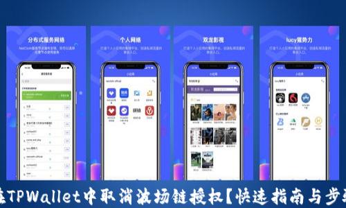 
如何在TPWallet中取消波场链授权？快速指南与步骤详解