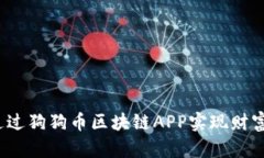 如何通过狗狗币区块链APP实现财富增长？