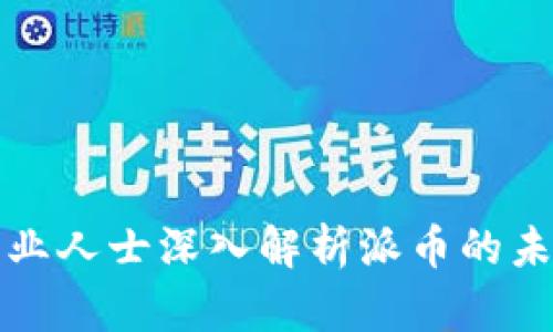 区块链专业人士深入解析派币的未来与价值