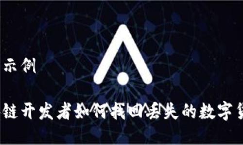 推广示例

区块链开发者如何找回丢失的数字货币？