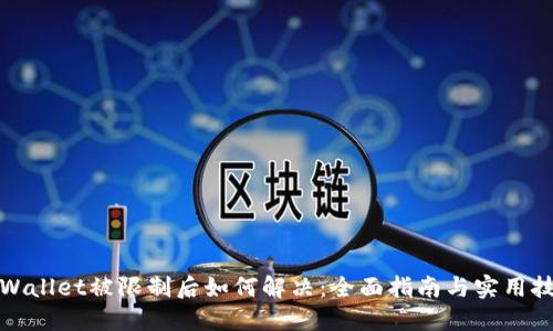 TPWallet被限制后如何解决：全面指南与实用技巧