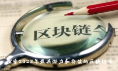 探索2023年最具潜力和价值的区块链币
