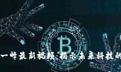 区块链张一峰最新视频：揭示未来科技的无限可能