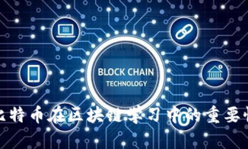 深入探讨比特币在区块链学习中的重要性及其影响