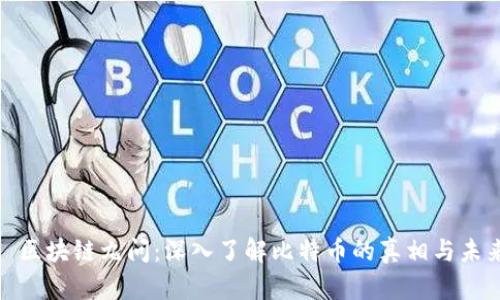 : 区块链九问：深入了解比特币的真相与未来