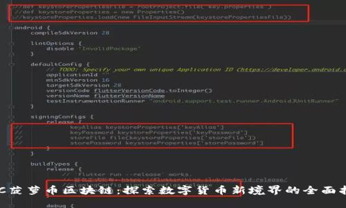RCC菠萝币区块链：探索数字货币新境界的全面指南