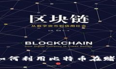 探索区块链技术：如何利用比特币在赌博行业中