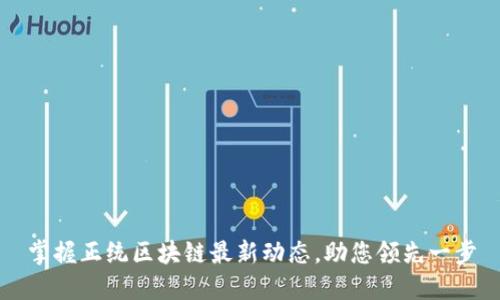 掌握正统区块链最新动态，助您领先一步