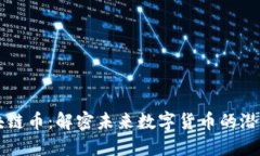 贝数区块链币：解密未来数字货币的潜力与挑战
