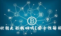 tpwallet币被转走能找回吗？安全性解析与用户指南