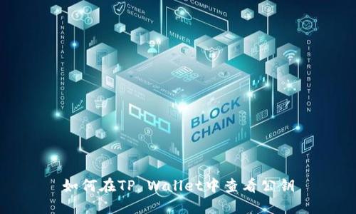 如何在TP Wallet中查看公钥