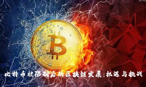 比特币被限制后的区块链发展：机遇与挑战