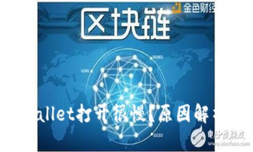  为什么TPWallet打开很慢？原因解析与解决方案